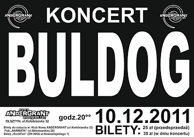 Plakat - Buldog