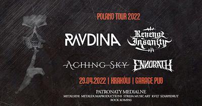 Plakat - Ravdina, Revenge Insanity, Aching Sky