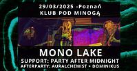 Plakat - Mono Lake, Party After Midnight