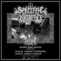 Plakat - Spectral Wound, Lamp of Murmuur