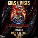 Koncert Guns N' Roses, Public Enemy